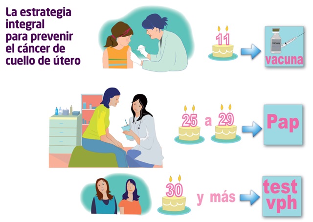 san bernardo tucuman prevencion cuello de utero san bernardo tucuman prevencion cuello de utero